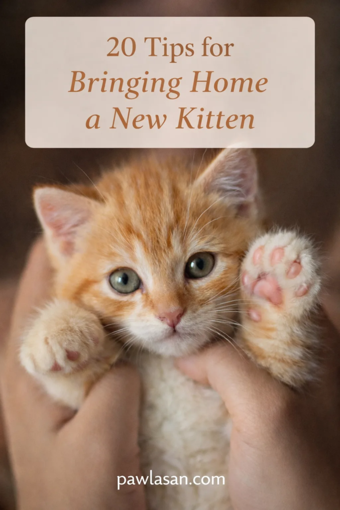 Orange tabby kitten held gently with text reading 20 tips for bringing home a new kitten
